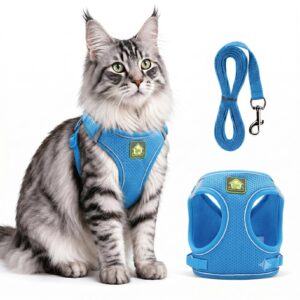 Cat Harness And Leash, Escape Proof Adjustable Vest Harness