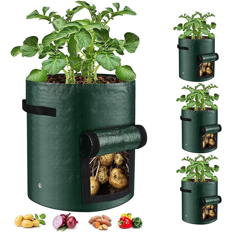 10 Gallon -6 Pack Potato Grow, PE Fabric With Flap And Handles, Green Planter Bags 1 10 Gallon -6 Pack Potato Grow, PE Fabric With Flap And Handles, Green Planter Bags