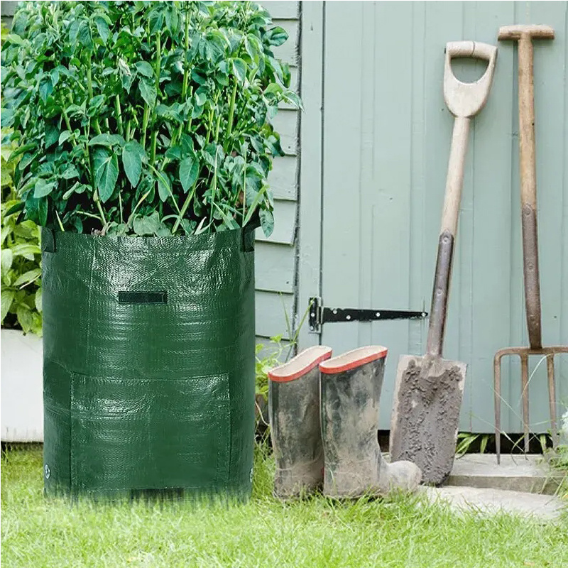 10 Gallon -6 Pack Potato Grow, PE Fabric With Flap And Handles, Green Planter Bags 9 10 Gallon -6 Pack Potato Grow, PE Fabric With Flap And Handles, Green Planter Bags - Image 9