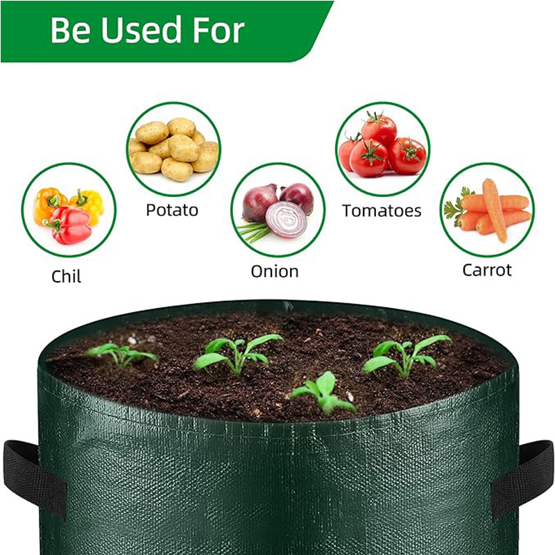 10 Gallon -6 Pack Potato Grow, PE Fabric With Flap And Handles, Green Planter Bags 4 10 Gallon -6 Pack Potato Grow, PE Fabric With Flap And Handles, Green Planter Bags - Image 4