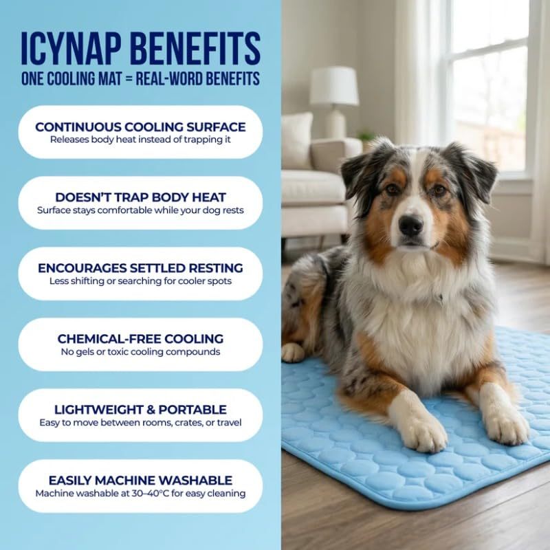 Breathable And Anti-slip Pet Ice Silk Pad - Cooling Pad For Sofa 3 Breathable And Anti-slip Pet Ice Silk Pad - Cooling Pad For Sofa - Image 3