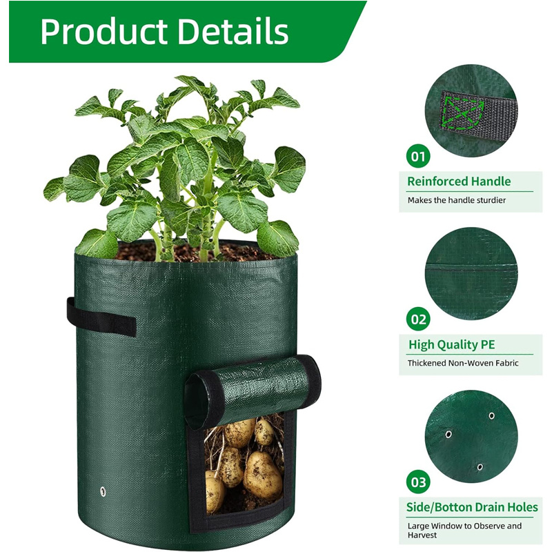 10 Gallon -6 Pack Potato Grow, PE Fabric With Flap And Handles, Green Planter Bags 5 10 Gallon -6 Pack Potato Grow, PE Fabric With Flap And Handles, Green Planter Bags - Image 5