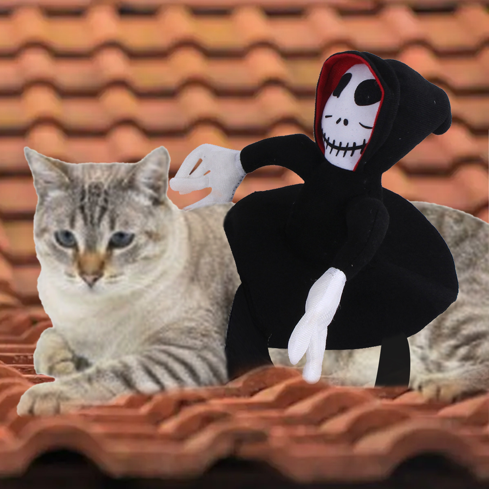 Pet Halloween Costume 3 Pet Halloween Costume - Image 3