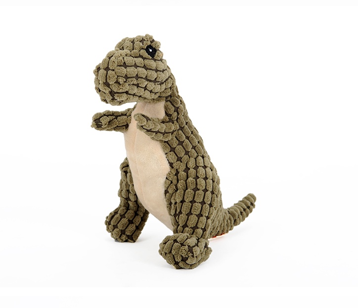 Dinosaur Pet Toys 9 Dinosaur Pet Toys - Image 9