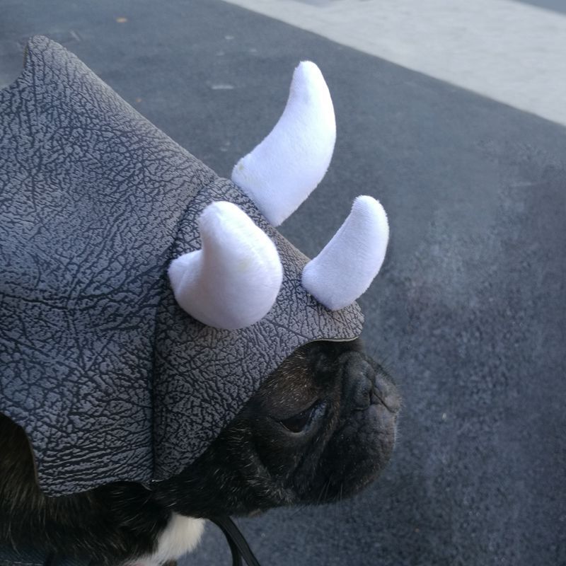 Pet Triceratops Dinosaur Transformation Cap Costume 2 Pet Triceratops Dinosaur Transformation Cap Costume - Image 2