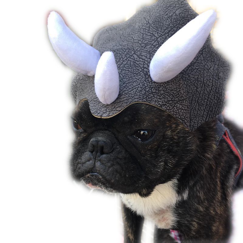 Pet Triceratops Dinosaur Transformation Cap Costume 3 Pet Triceratops Dinosaur Transformation Cap Costume - Image 3