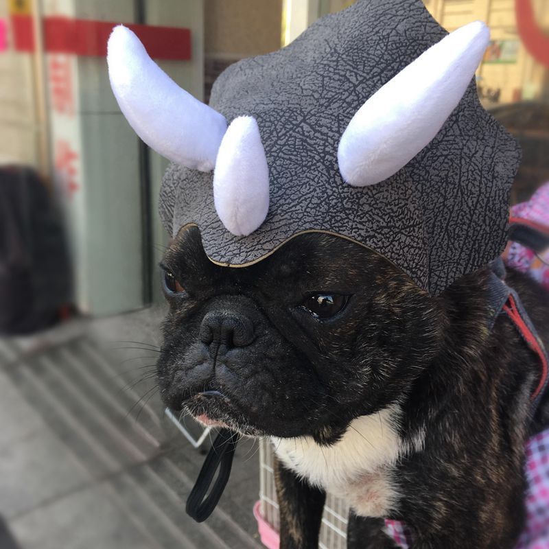 Pet Triceratops Dinosaur Transformation Cap Costume 1 Pet Triceratops Dinosaur Transformation Cap Costume