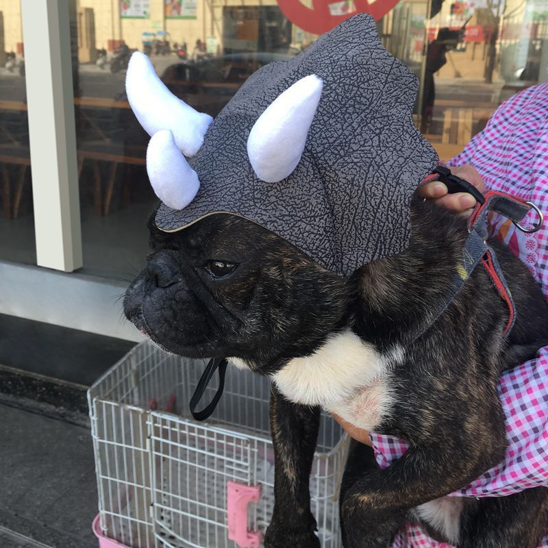 Pet Triceratops Dinosaur Transformation Cap Costume 5 Pet Triceratops Dinosaur Transformation Cap Costume - Image 5