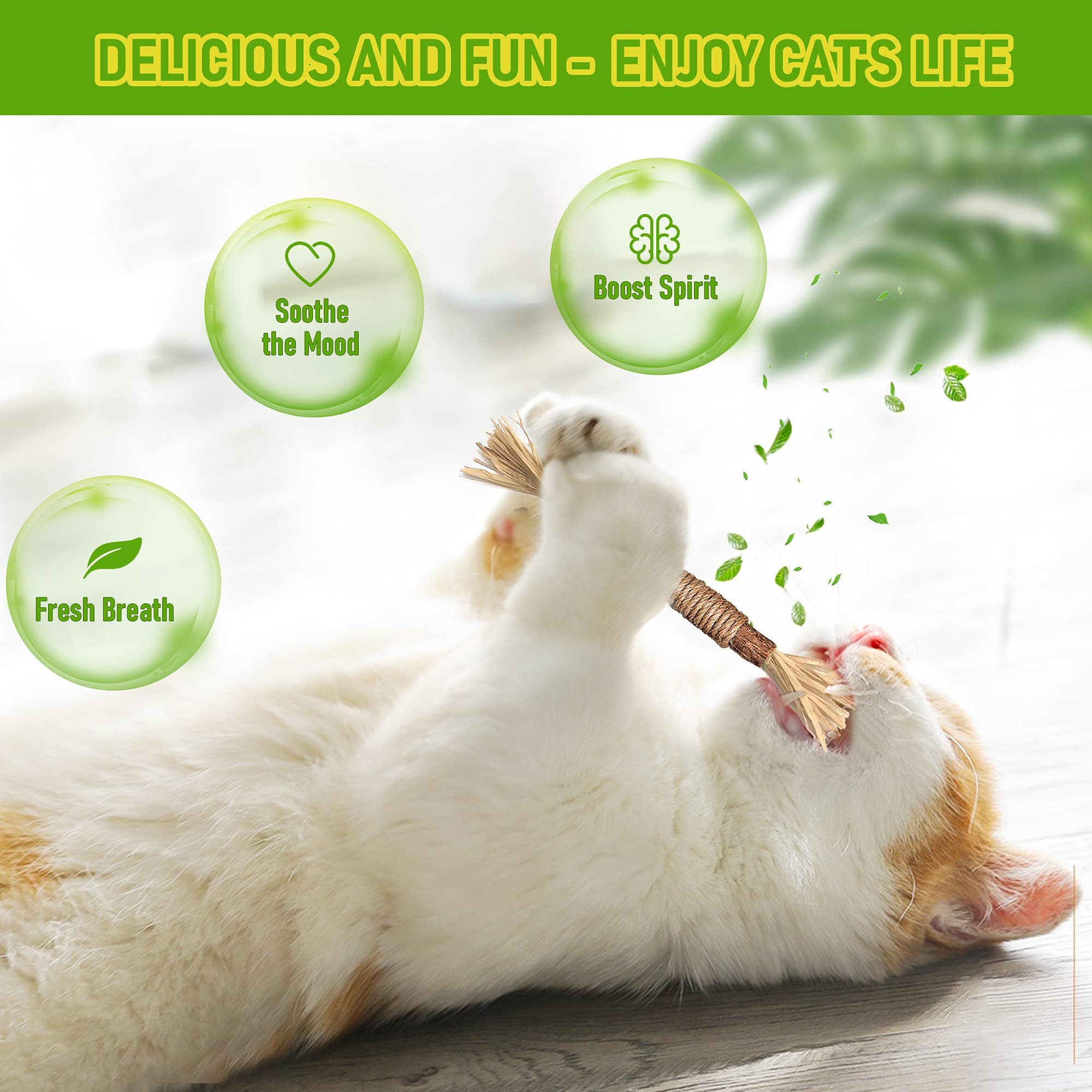 Silvervine Sticks Cat Chew Toys For Indoor Cats Dental Care Teeth Cleaning 6 Silvervine Sticks Cat Chew Toys For Indoor Cats Dental Care Teeth Cleaning - Image 6