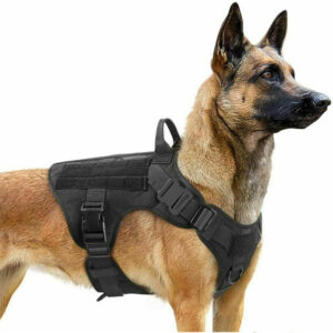 Adjustable Tactical Dog Harness