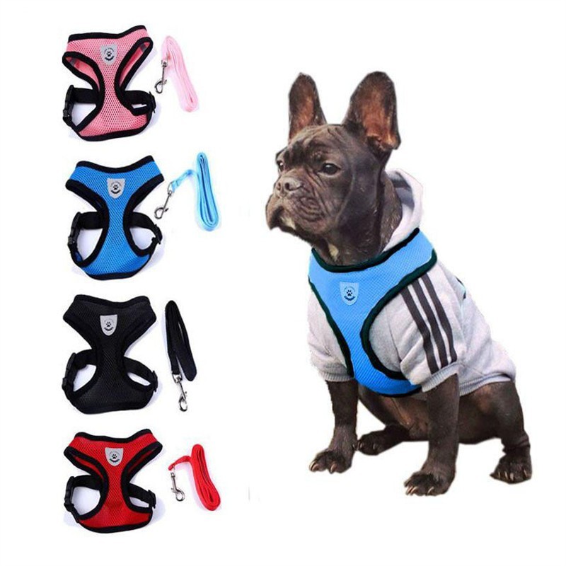 Pet Car Seat Belt 9 Pet Car Seat Belt - Image 9