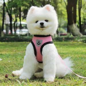 Pet Car Seat Belt