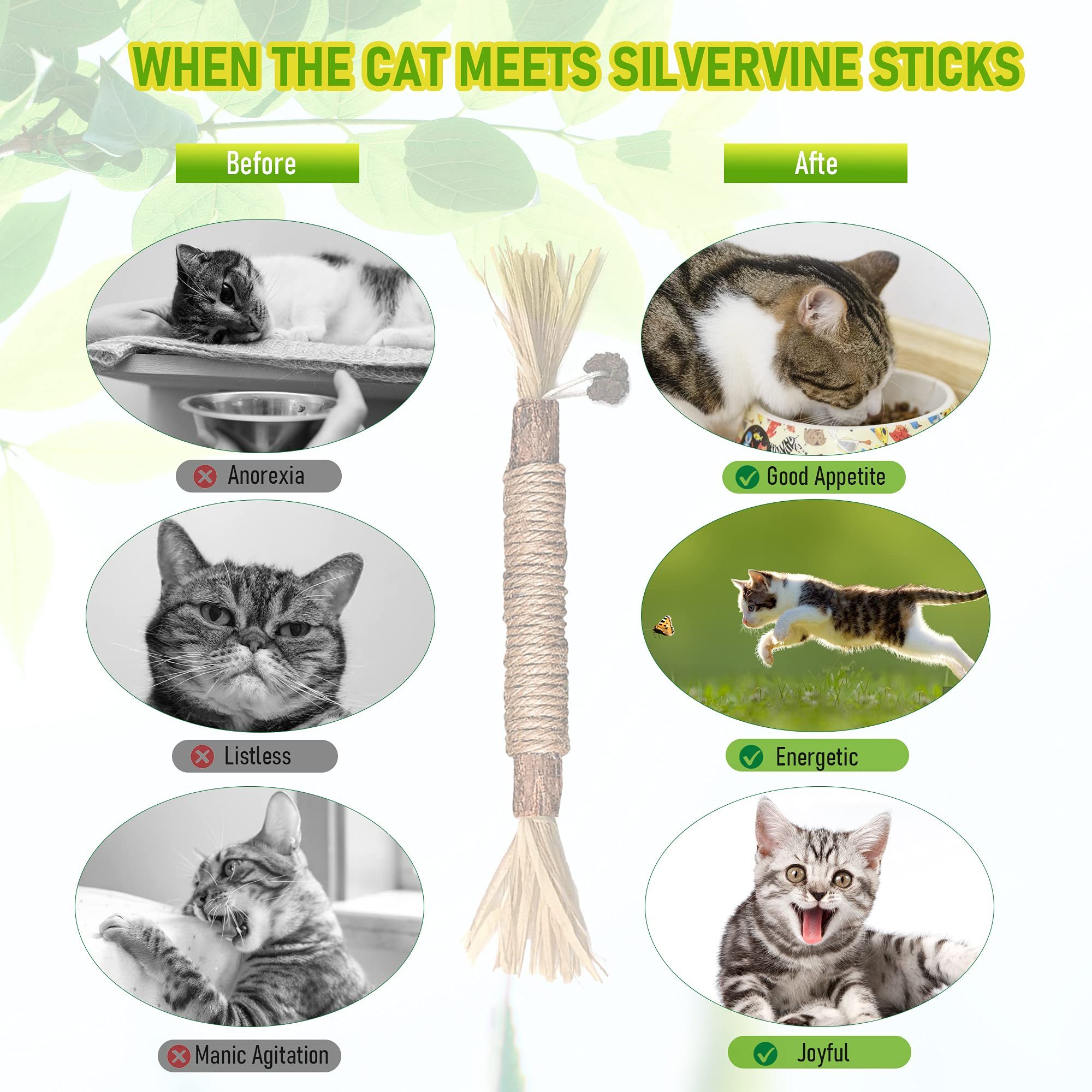 Silvervine Sticks Cat Chew Toys For Indoor Cats Dental Care Teeth Cleaning 7 Silvervine Sticks Cat Chew Toys For Indoor Cats Dental Care Teeth Cleaning - Image 7