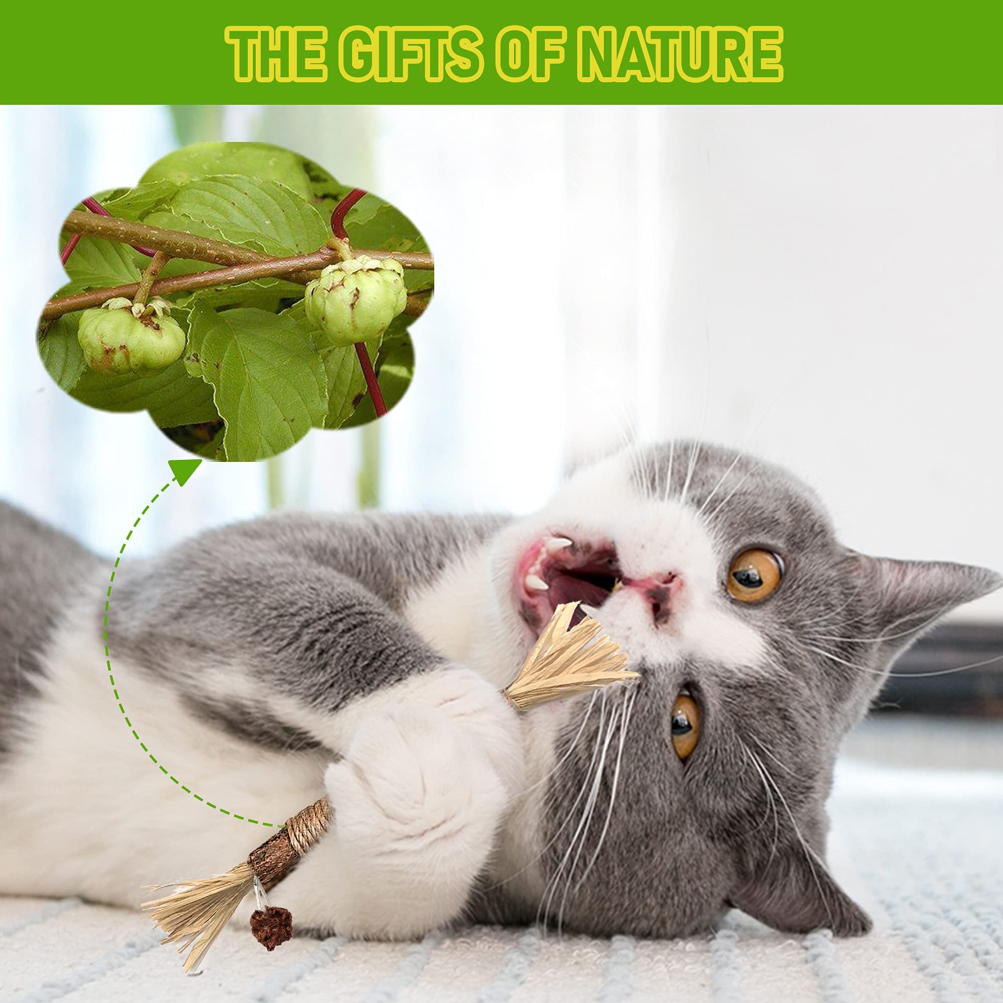 Silvervine Sticks Cat Chew Toys For Indoor Cats Dental Care Teeth Cleaning 4 Silvervine Sticks Cat Chew Toys For Indoor Cats Dental Care Teeth Cleaning - Image 4