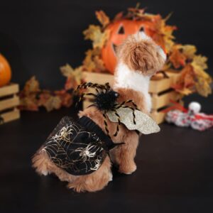 Pet Halloween Party Clothes