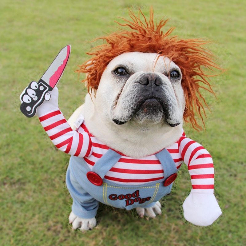 Halloween Pet Adjustable Cosplay Costume 2 Halloween Pet Adjustable Cosplay Costume - Image 2