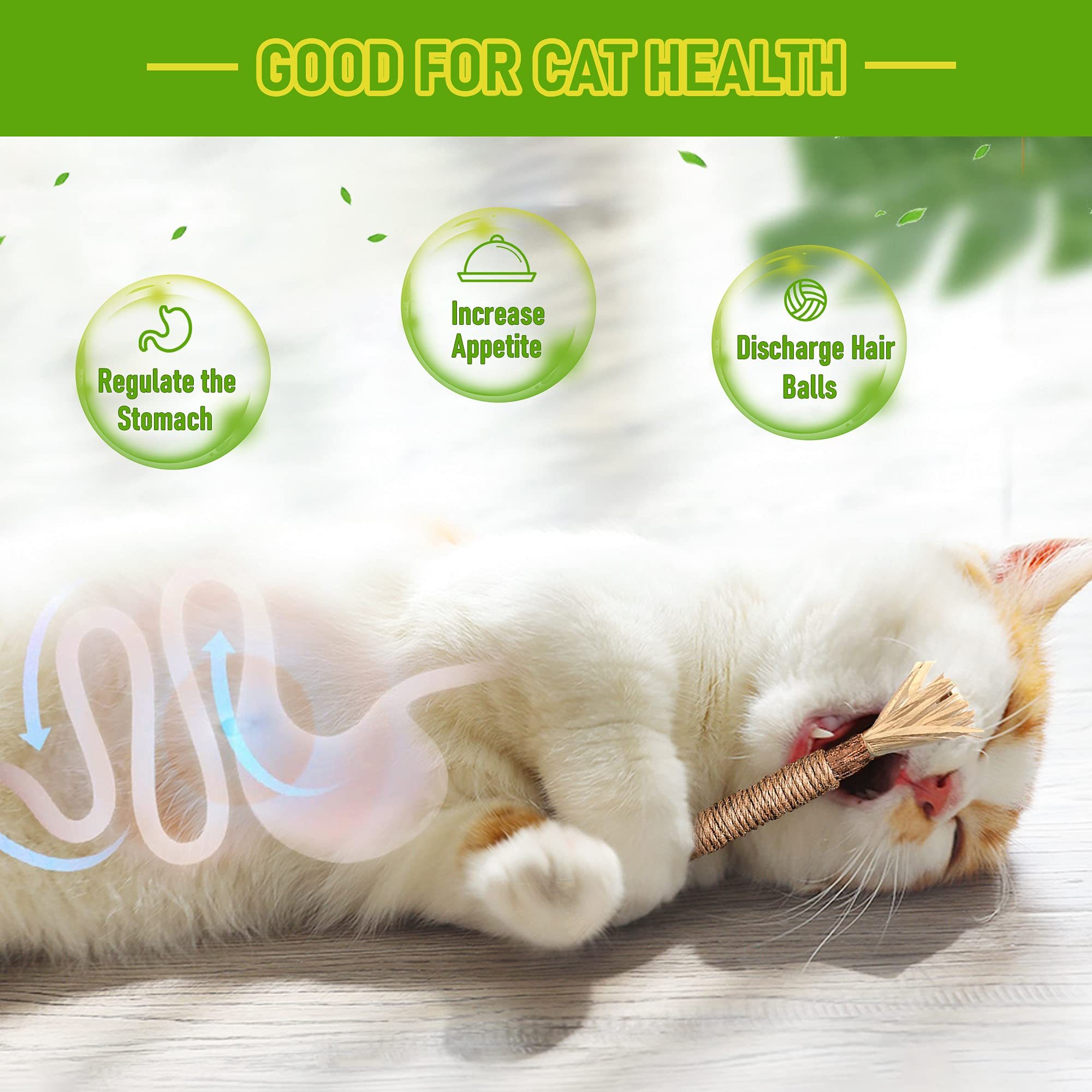 Silvervine Sticks Cat Chew Toys For Indoor Cats Dental Care Teeth Cleaning 2 Silvervine Sticks Cat Chew Toys For Indoor Cats Dental Care Teeth Cleaning - Image 2