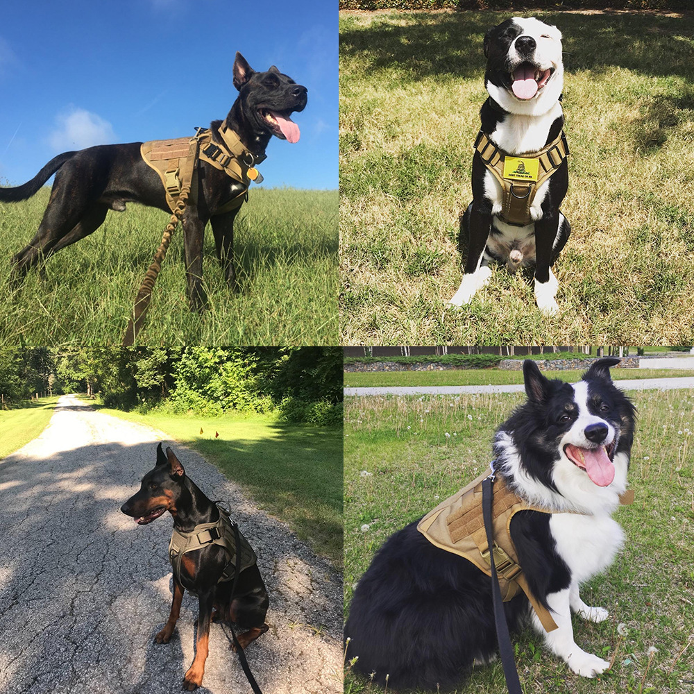 Adjustable Tactical Dog Harness 7 Adjustable Tactical Dog Harness - Image 7