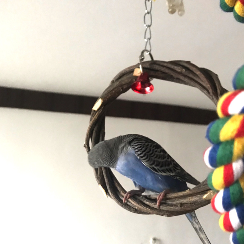 Bird Standing Frame Rattan Ring Chewing Toy Bird Cage 6 Bird Standing Frame Rattan Ring Chewing Toy Bird Cage - Image 6