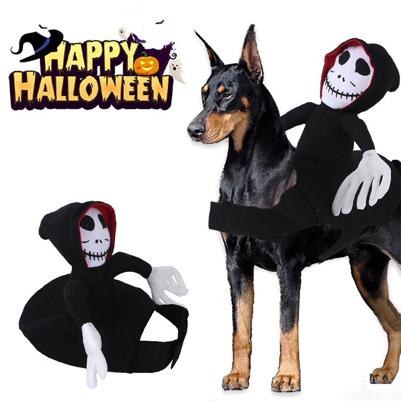 Pet Halloween Costume 1 Pet Halloween Costume