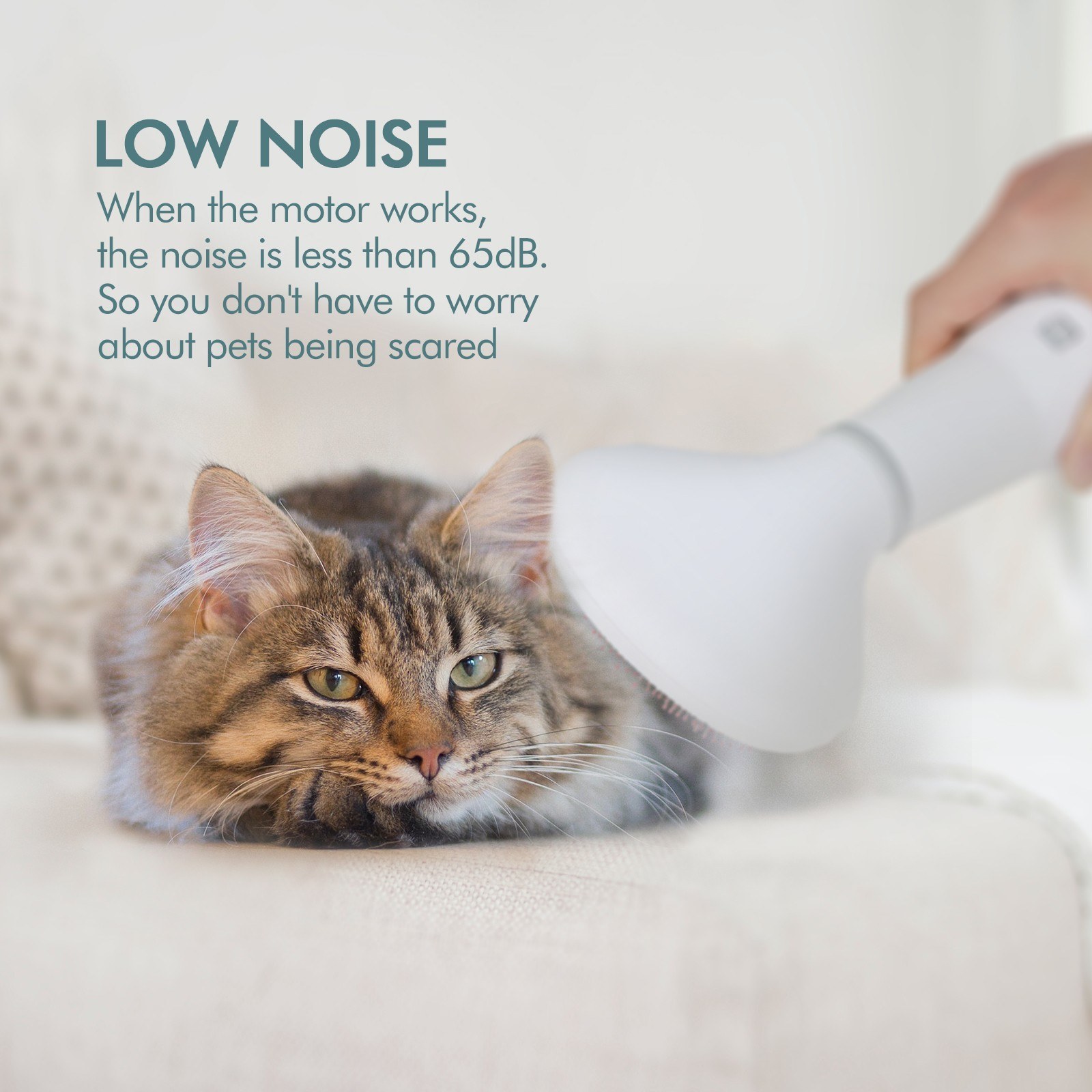 Pet Dog Hair Dryer Slicker Brush 7 Pet Dog Hair Dryer Slicker Brush - Image 7