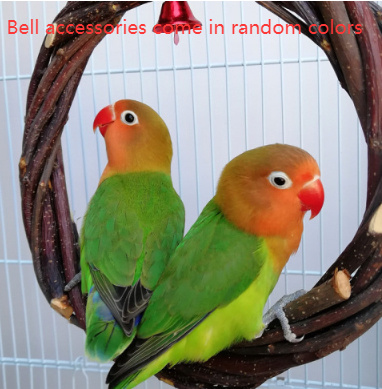 Bird Standing Frame Rattan Ring Chewing Toy Bird Cage 9 Bird Standing Frame Rattan Ring Chewing Toy Bird Cage - Image 9