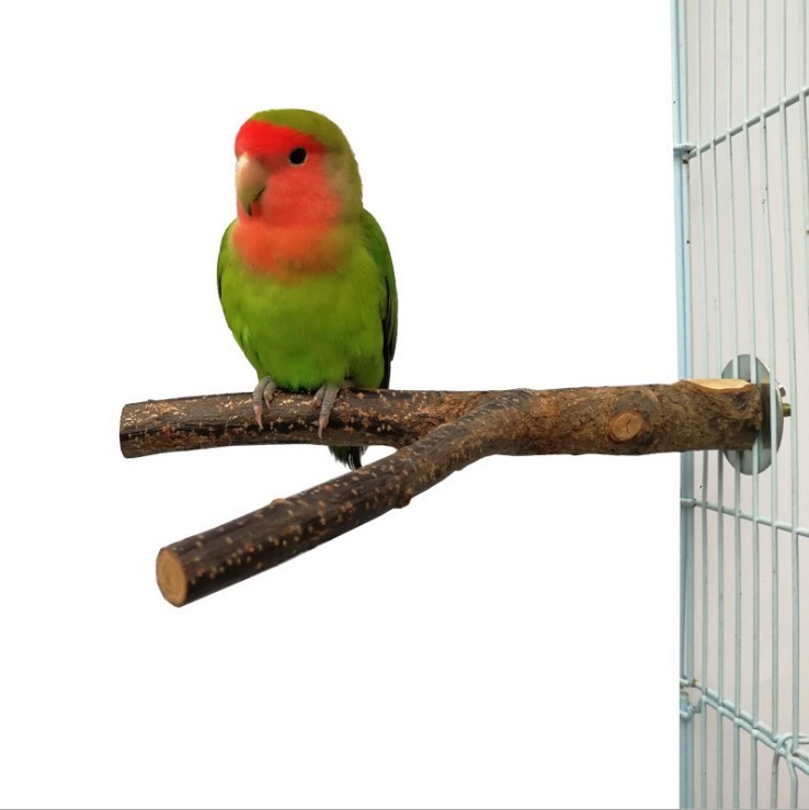 Bird Standing Frame Rattan Ring Chewing Toy Bird Cage 10 Bird Standing Frame Rattan Ring Chewing Toy Bird Cage - Image 10