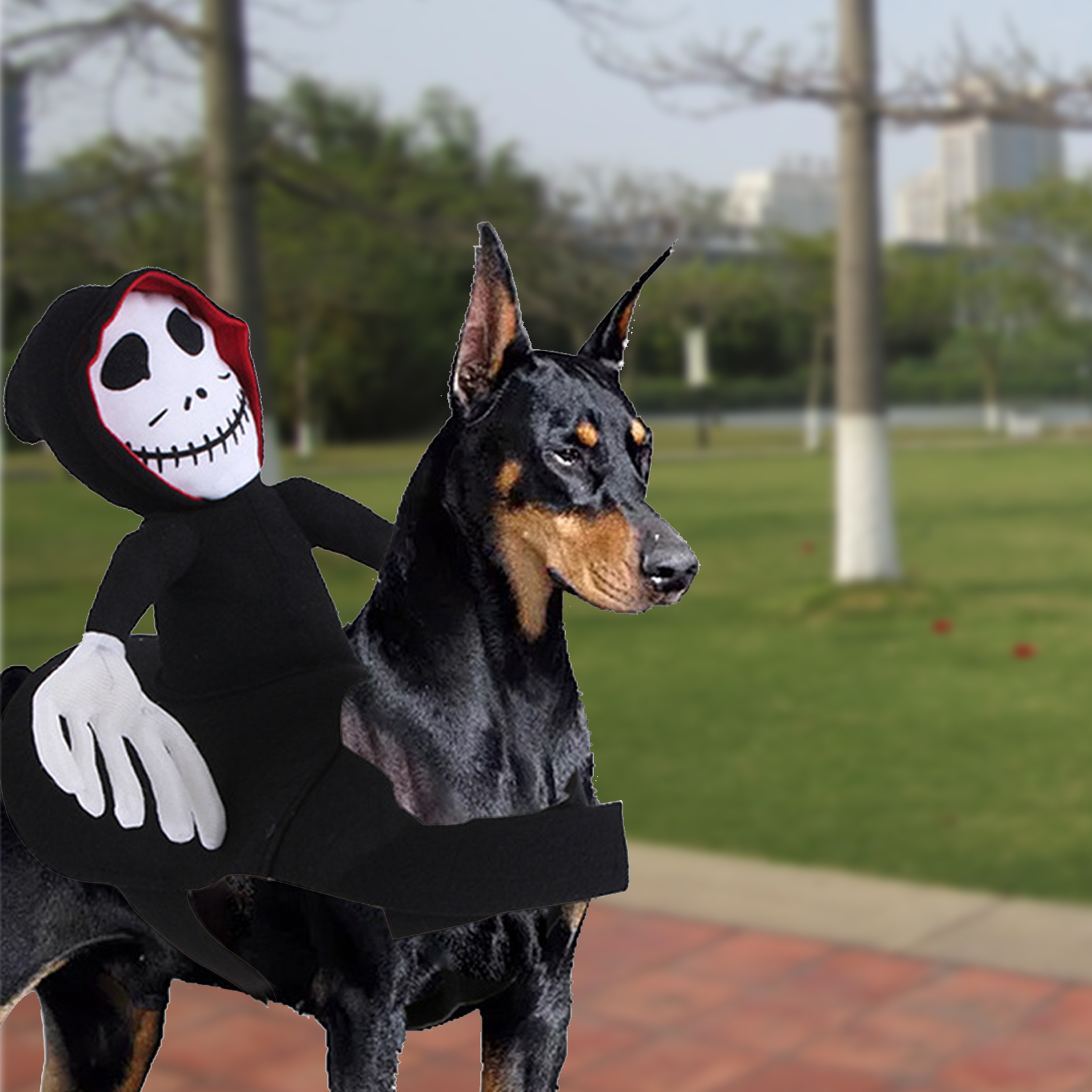 Pet Halloween Costume 4 Pet Halloween Costume - Image 4