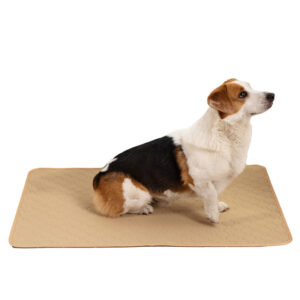 Between The Pad Water Absorption Pad for Pet
