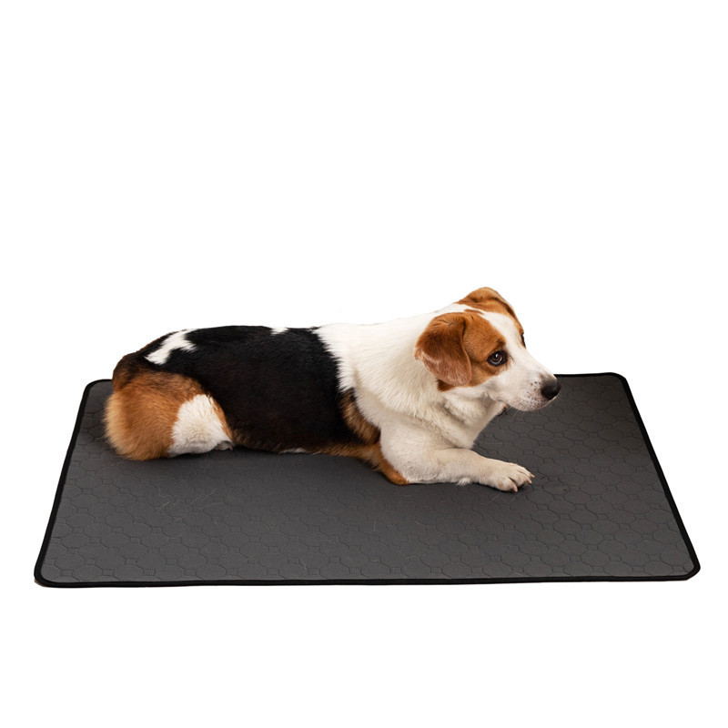 Between The Pad Water Absorption Pad for Pet 2 Between The Pad Water Absorption Pad for Pet - Image 2
