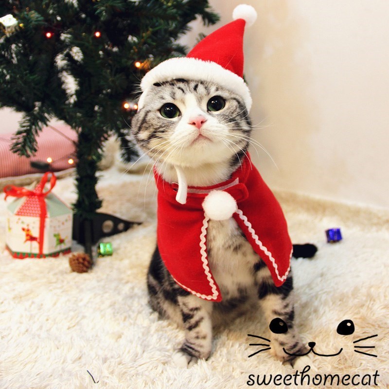 Pet Small Christmas Tiara 8 Pet Small Christmas Tiara - Image 8