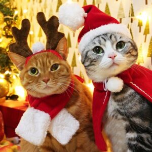 Pet Small Christmas Tiara