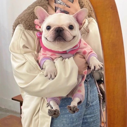 Pet Winter Clothing 5 Pet Winter Clothing - Image 5
