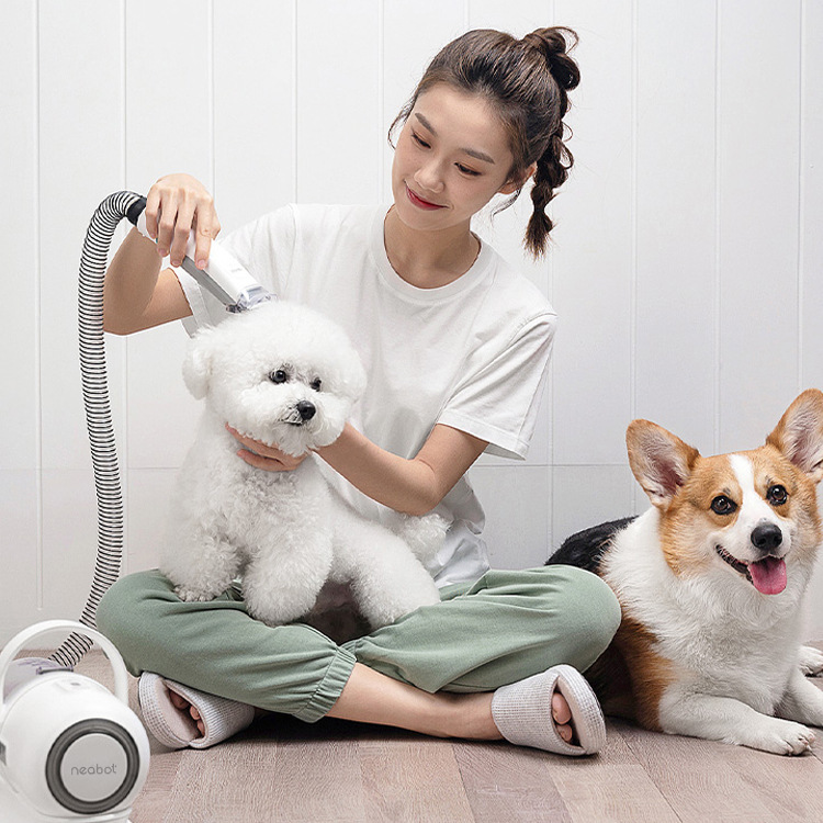 Pet Grooming Device Comb Shaving Hair Grooming In One P1 Beauty Pet 7 Pet Grooming Device Comb Shaving Hair Grooming In One P1 Beauty Pet - Image 7