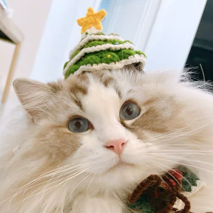 Handmade Woolen Hat Pet Christmas 2 Handmade Woolen Hat Pet Christmas - Image 2