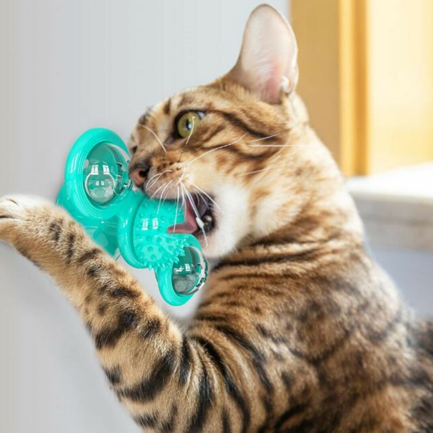 Rotating Interactive Windmill Cat Toy With Suction Cup 4 Rotating Interactive Windmill Cat Toy With Suction Cup - Image 4