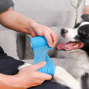 Pet Dirt Prevention Products