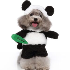 Pet Upright Outfit For Halloween Christmas