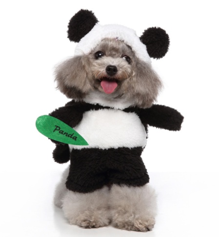Pet Upright Outfit For Halloween Christmas 1 Pet Upright Outfit For Halloween Christmas
