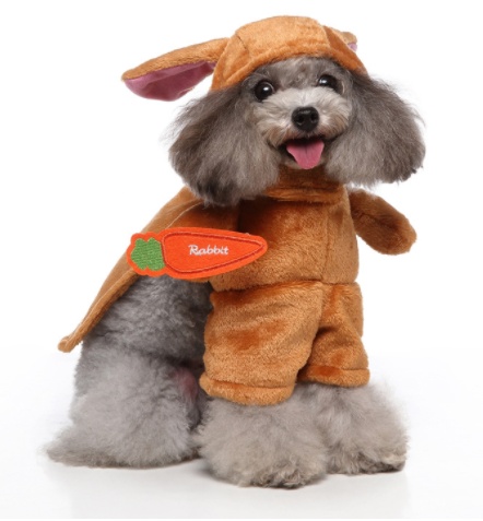 Pet Upright Outfit For Halloween Christmas 5 Pet Upright Outfit For Halloween Christmas - Image 5